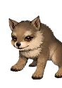 Gray Wolf pet icon
